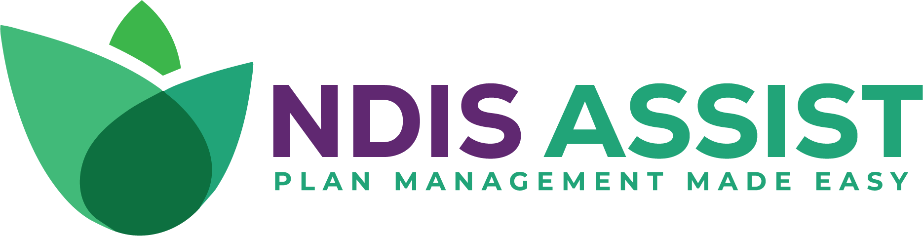 NDIS Assist